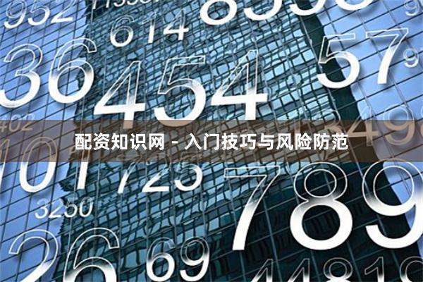 配资知识网 - 入门技巧与风险防范