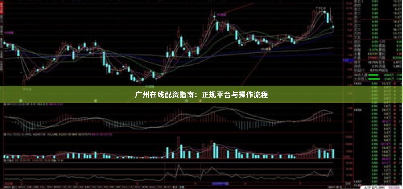 广州在线配资指南：正规平台与操作流程
