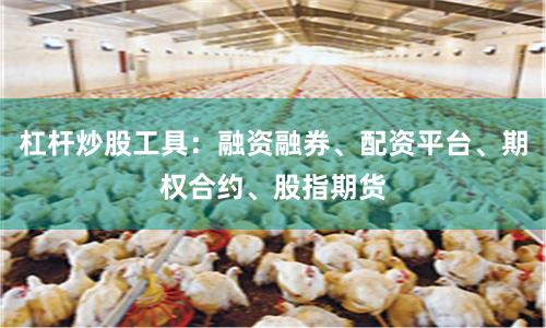 杠杆炒股工具：融资融券、配资平台、期权合约、股指期货